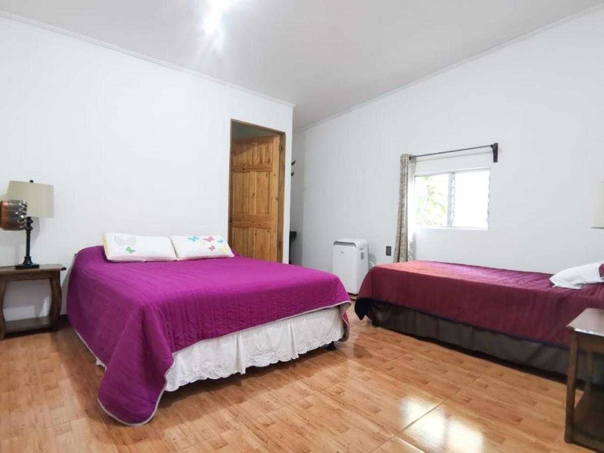Casita Happy Feet And Tours Corcovado Hotel Drake Bay ภายนอก รูปภาพ
